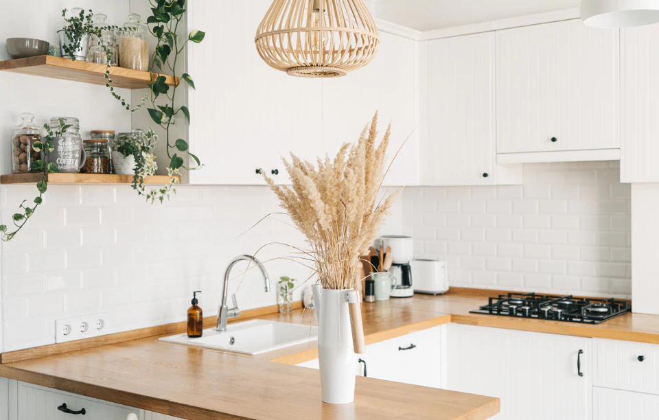 minimalist modern kitchen